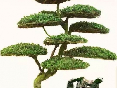 型鋼