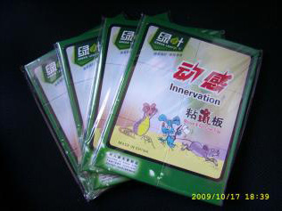 鍍鋅帶鋼（有花）